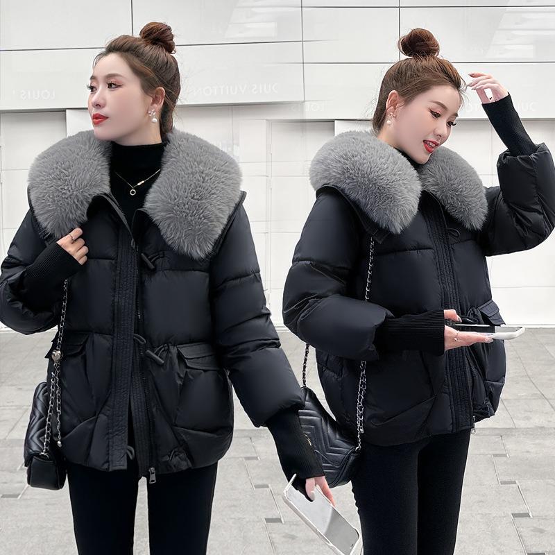 Loose Cotton-padded Winter Clothes, Fashion Big Fur Collar Cotton-padded Jacket, Women's Autumn and Winter Padded Jacket, Short Jacket