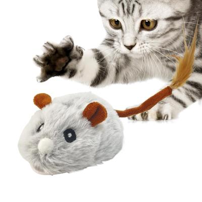 Katzen – Katzenspielzeug