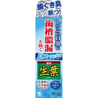 Breath of Mugwort and Real Type Raw Leaves I 100g