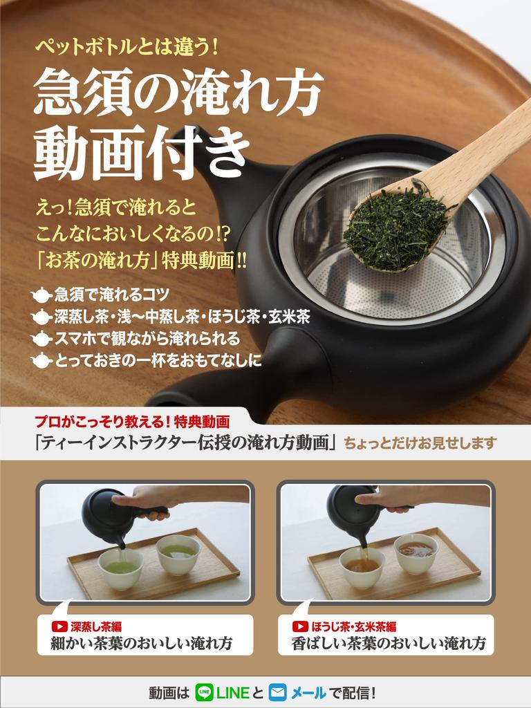 Japanese Teapot Steel Strainer for Clogging and Spreading Tea 300 Ml Cc Includes Instructions and Video On How To Brew Delicious Tea Tokoname-yaki