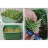 Sprouts Maker, Multifunctional Sprout Maker, Sprouts Machine, Sprouts Growing Kit, Seed Sprouting Kit, Roof Vegetable Planting Box (Green)
