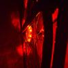 LED Magic Front Tail Spoke Wheel Warning Light Bicycle Cycling Bike Accessories