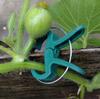 20pcs Reusable Garden Greenhouse Plant Fixed Clips - Perfect for Supporting Your Plants, Vines & Flowers! - For Gardeners & Plant Lovers