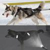 Pet Harness Reflective Dog Sled Harness Adjustable Comfortable Pet Chest Strap for Outdoor Night Walking