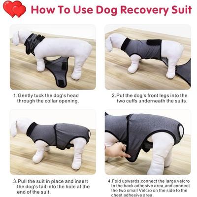Elastic Dog Recovery Suit Washable Adjustable Pet Sterilization Suit Comfortable Breathable Pet Underwear Weaning Period