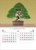 Japanese Spirit 2026 Wall Calendar (Bonsai) TD-721 CL26-1039