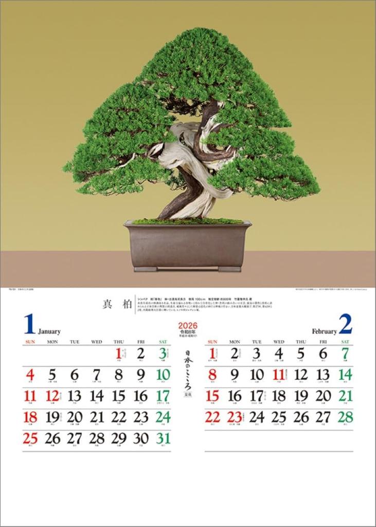 Japanese Spirit 2026 Wall Calendar (Bonsai) TD-721 CL26-1039