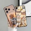 Cute Cat Art Funda Phone Cover Case for Apple iPhone 17 Pro Max 13 11 16 15 Pro 7 8 Air 14 12 XR XS MAX