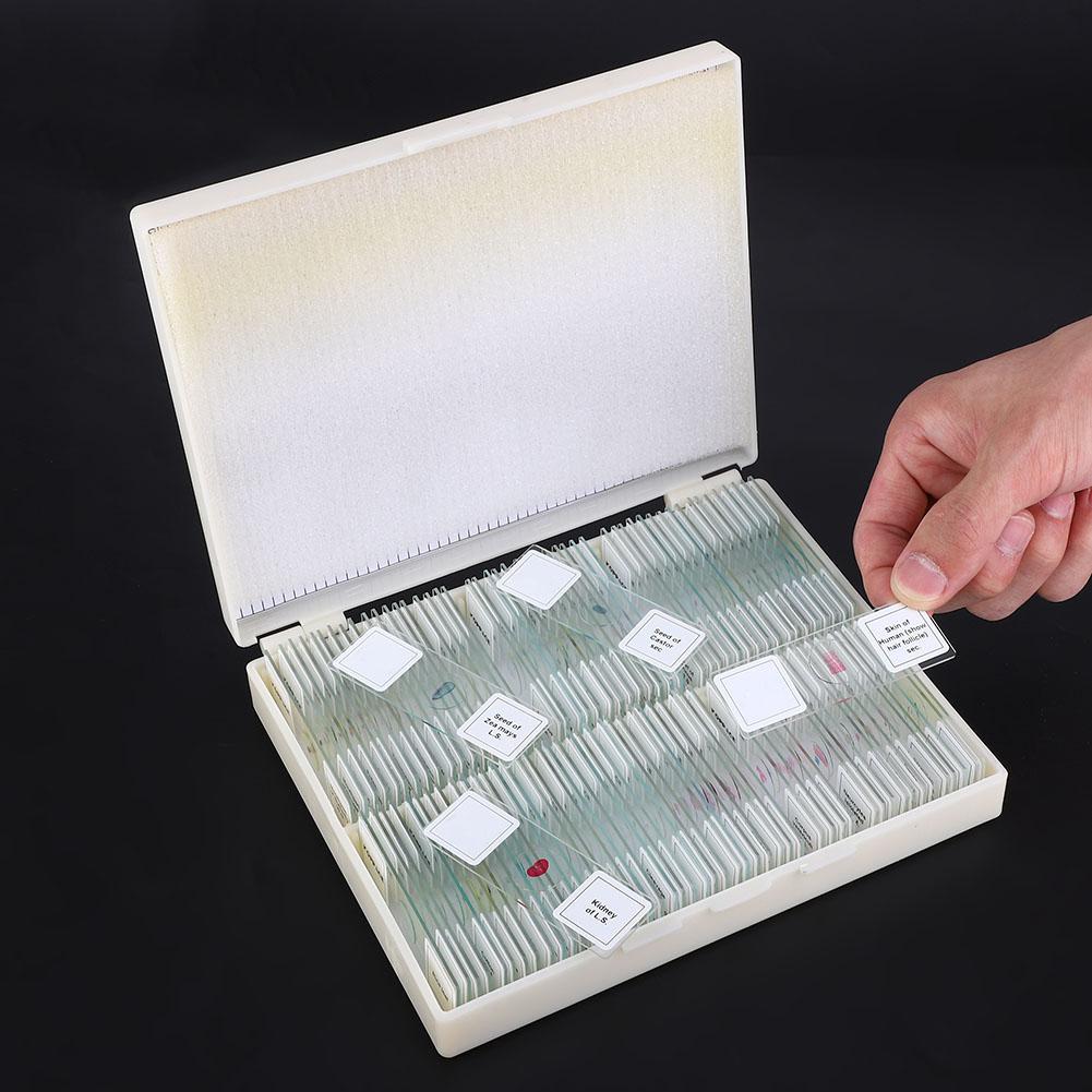 Set de diapozitive pentru secțiunea biologică pregătită pentru educația de bază în științe biologice 100 de diapozitive