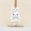 Cute Bunny Plush Toy Keychain Soft Pp Cotton Rabbit Doll In Charming Colorful Dress Designs