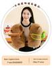 Capybara Plush Toy Doll - Cartoon Throw Pillow & Stuffed Animal Birthday Gift