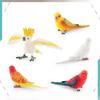Parrot Animal Model Pvc Desktop Ornament For Kids Science And Cognitive Development