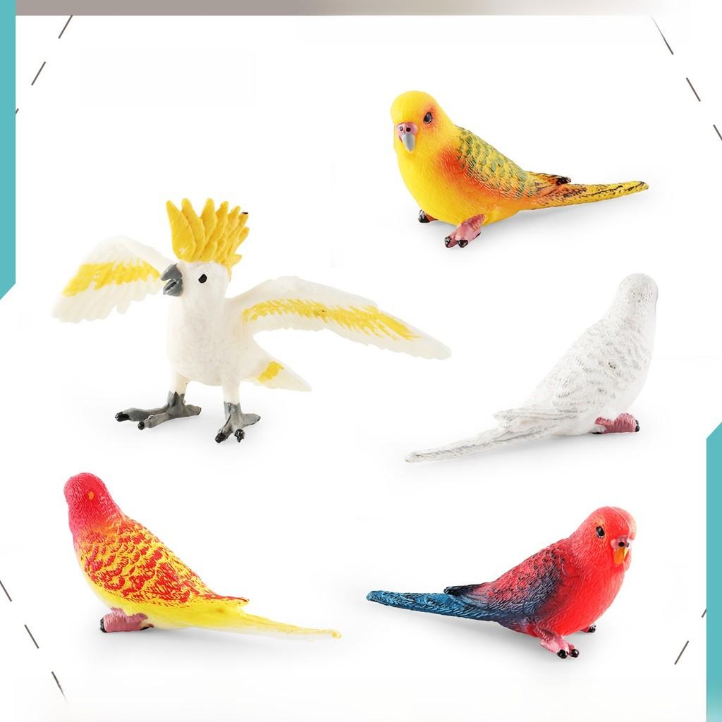 Parrot Animal Model Pvc Desktop Ornament For Kids Science And Cognitive Development