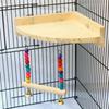 Color Beads Wear resistant Parrot Climbing Rack Bird Chew Toy Parrot Perch Stand Bird Swing Toy