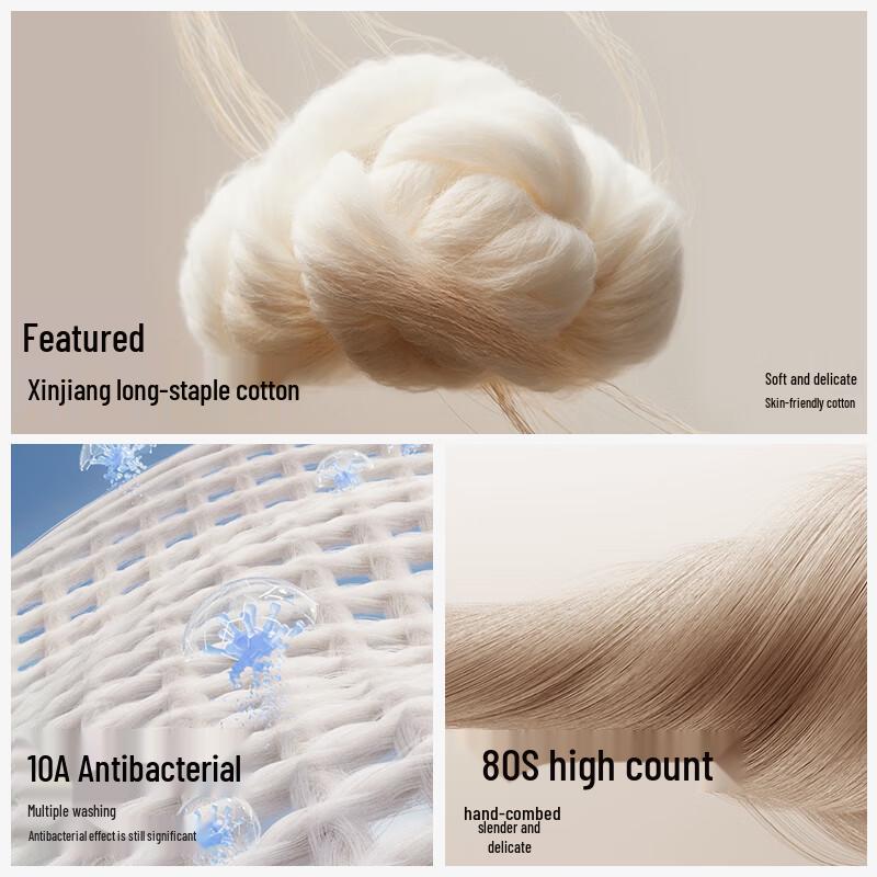 Heilan Home Men's 80-Count Cotton Antibacterial Briefs 4-Pack Gift Box