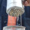 1pcs Beekeeping tools,Manual Honey Press,Small Stainless Steel Honey Presser,Mini Portable Honey Extractor