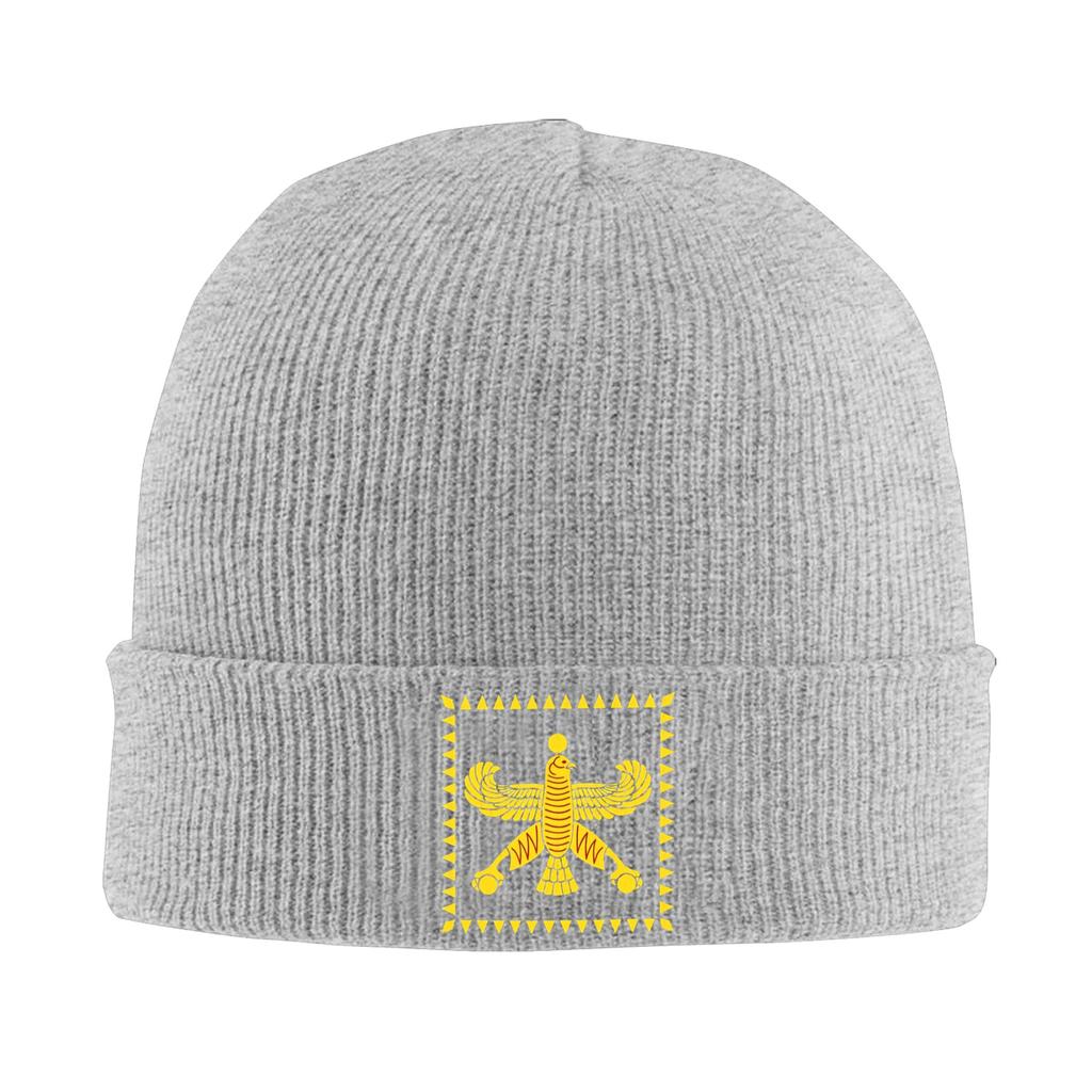 Persian Flag Achaemenid Empire Flag Beanie Hats Bonnet Hats Men Casual Outdoor Sport Skullies Beanies Autumn Thermal Elastic Cap
