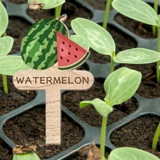 15 Pcs Wooden Plant Labels Vegetable Names And Patterns Markers T Type Plant Labels for Seedlings Potted Plants Identification