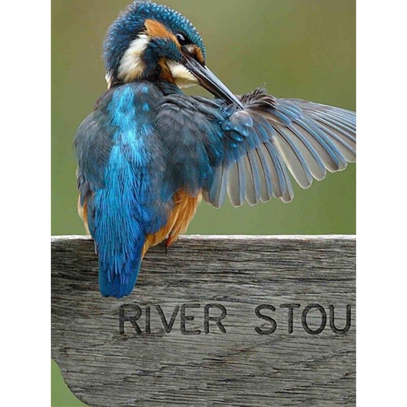 Noua pictură cu diamant 5D bricolaj, broderie cu diamante, animale, cu punct de cruce, meșteșuguri, decorațiuni pentru acasă, cadou manual