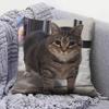 Funny Cat MMeMe  Pillow Covers Home Sofa Cushion Covers and Aecorative Custom