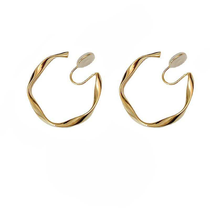 Retro Geometric 925 Silver Needle Metal Pattern Irregular Earrings - Exaggerated Cold Style