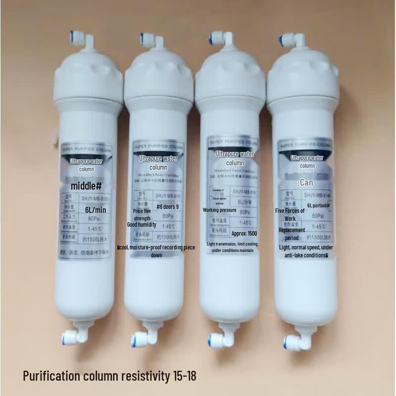 KESSZAL 10-inch Deionization Resin Ultrapurification Column