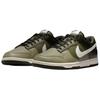 Nike Dunk Low Retro HF5441-203