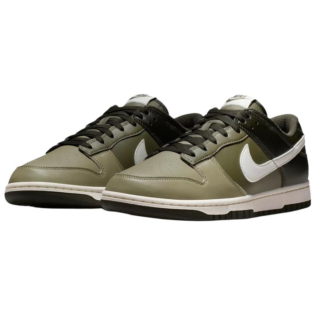 Nike Dunk Low Retro HF5441-203