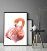 Picture Poster In a Frame 43x33 Cm Flamingo P1233
