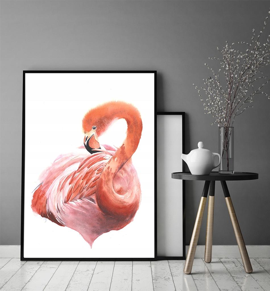 Picture Poster In a Frame 43x33 Cm Flamingo P1233