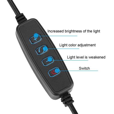 Accesorios para fotos de estudio – Iluminación para fotografías