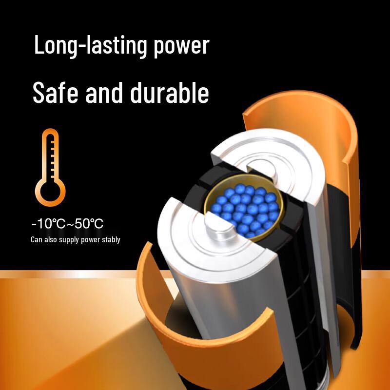 Duracell D Battery (2-Pack) CN plug (adapter included)