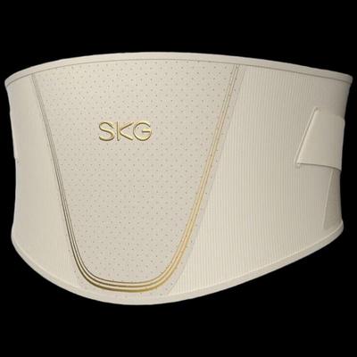 SKG N3 Lumbar Support Belt CN Plug (adapter Included)