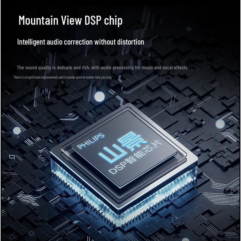 Philips K-Song Bluetooth Speaker with Dual Microphones