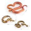 Simulated Reptile Snake Model Corn Snake Rattlesnake Red-Tailed Snake Tricky Desktop Static Ornament Toy