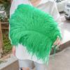 Wholesale Golden Ostrich Feathers Big 15-60CM Ostrich Plume for Wedding Party Home Decor Table Centerpieces Carnival DIY Crafts