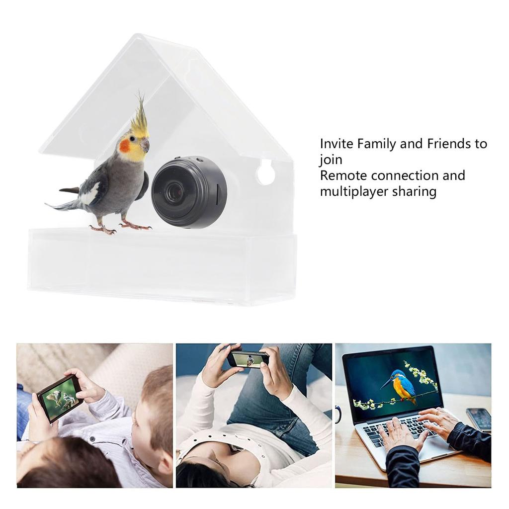 Camera Smart Bird Feeder 720HD Remote Connection Night Vision Clear Birds Window Feeder with Strong Suction Cups