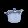 COOKER KING Fresh-Lock 22cm Micro-Pressure Soup Pot