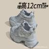 Inner Heightening Women's Shoes 12cm New Breathable Dad Shoes Platform Mesh Small Sports Casual Shoes Women A2513