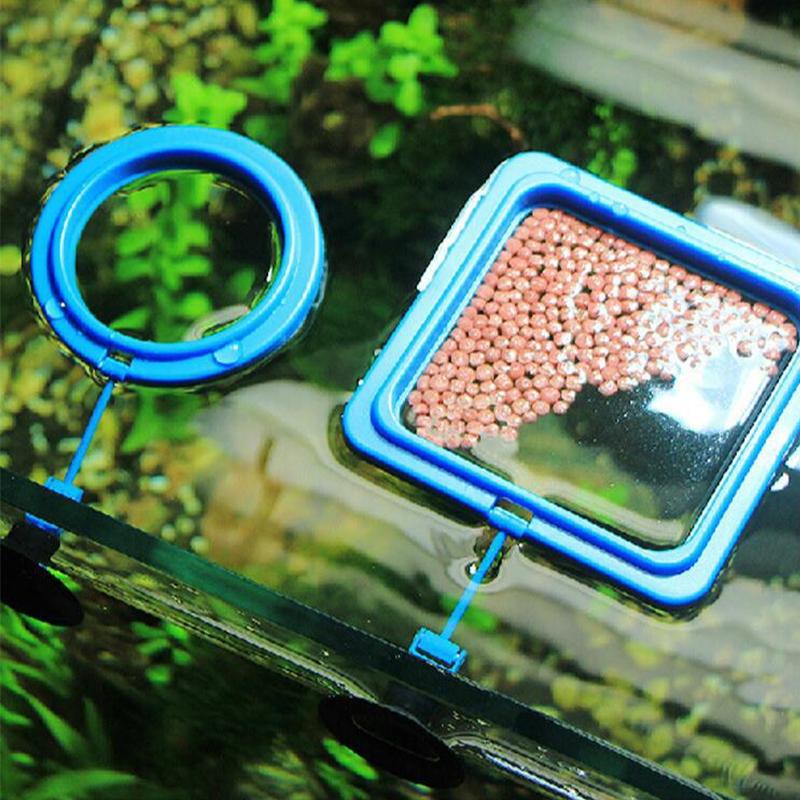 Aquarium Fish Feeding Ring Fish Tank Blue Floating Station Food Tray Feeder Prevent Food Dispersion Fish Pinch with Suction Cup