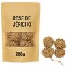 Rose of Jericho 200g – Chajarat Mariam Natural Resurrection Plant – Fertility, Conception & Prosperity – Energy Cleansing Flower