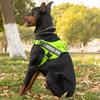 Dog Chest and Back Straps for Medium and Large-sized Pets, Anti-collision and Anti-slip
