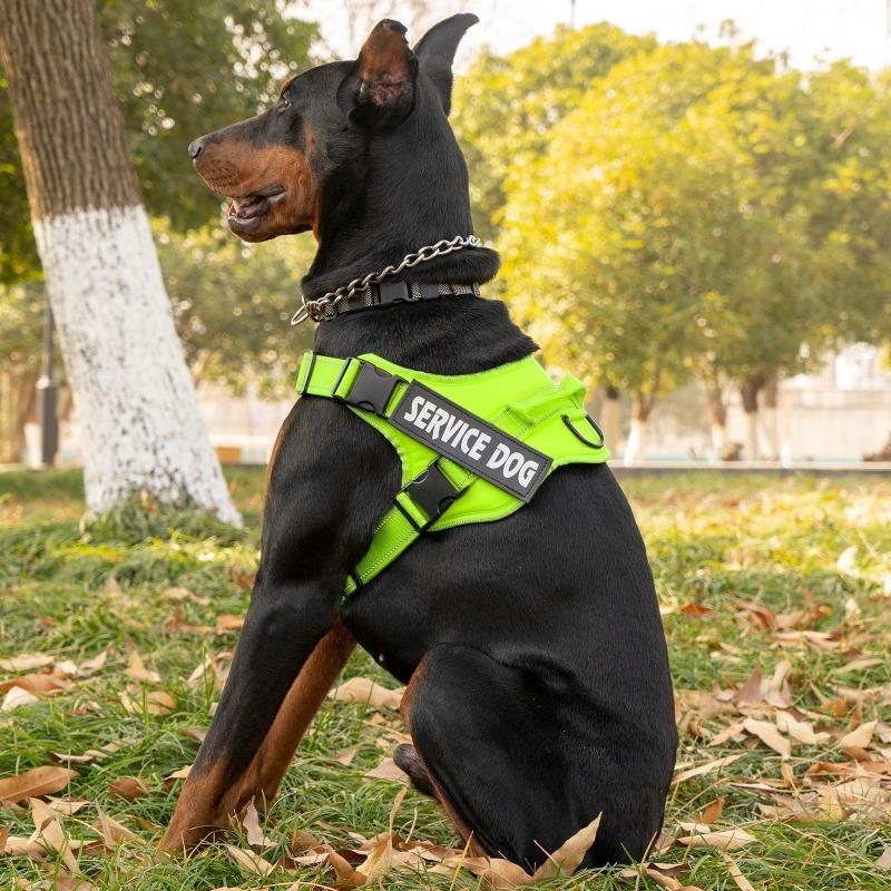 Dog Chest and Back Straps for Medium and Large-sized Pets, Anti-collision and Anti-slip