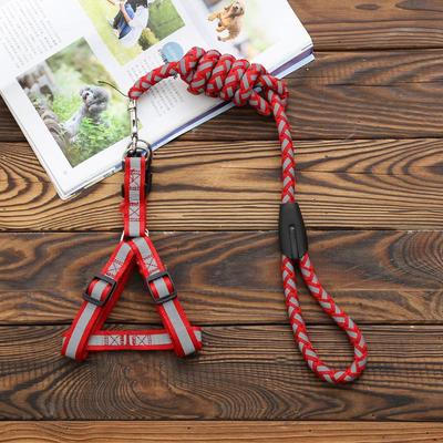 Cani – Collari e guinzagli per cani