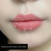 [Official Authentic Products] Carotene Color-Changing Lipstick Lipstick Female Lip Lacquer Does Not Fade No Stain On Cup Moisturizing and Nourishing