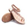 Foreign trade Bohemian sandals women's shoes clip on feet summer new style clip on toe flower flat shoes flat heel