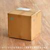 Ice bucket gallon Deelight Ice Bucket 2.5 [olive / 9.34L]