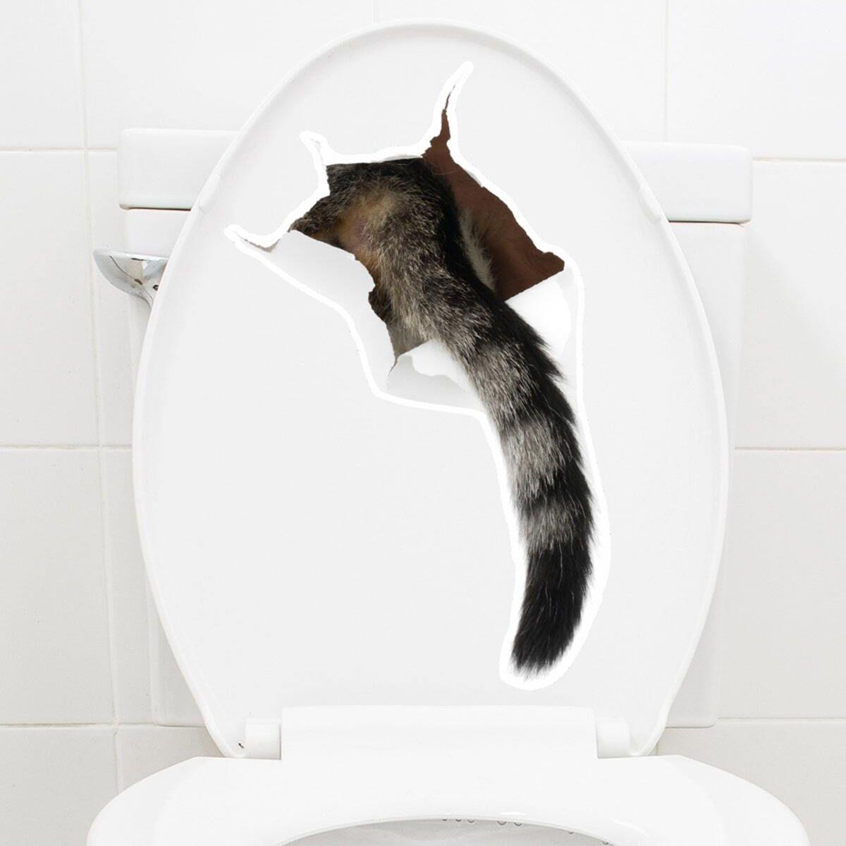 

1pc-3D beautification toilet sticker with cat tail hole wall sticker creative toilet cover decorative sticker
