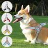 Köpek – Köpek Tasmaları ve Tasma Kayışları