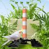 Bird Perch Ceramics Stand for Parrots Conure Supplies Budgies Grinding Scratcher for Small Medium Parrots Rack Toy